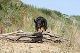 BEAUCERON 248